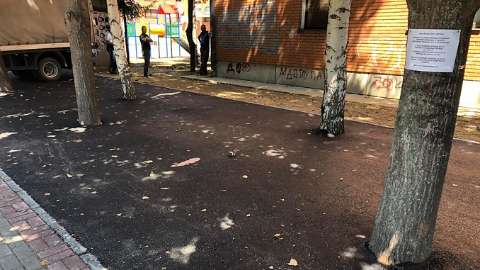 “Sve što je nenormalno u drugim zemljama kod nas je normalno”: Asfaltiranje drveća u Knjaževcu