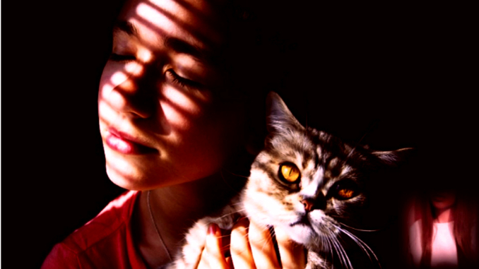 A moglo je gore. Dan započet u 04:45 nikada ne obećava mnogo…