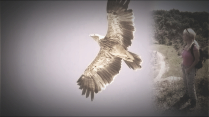 Čudna neka šuma Fruška gora, iz nje su i orlovi pobegli