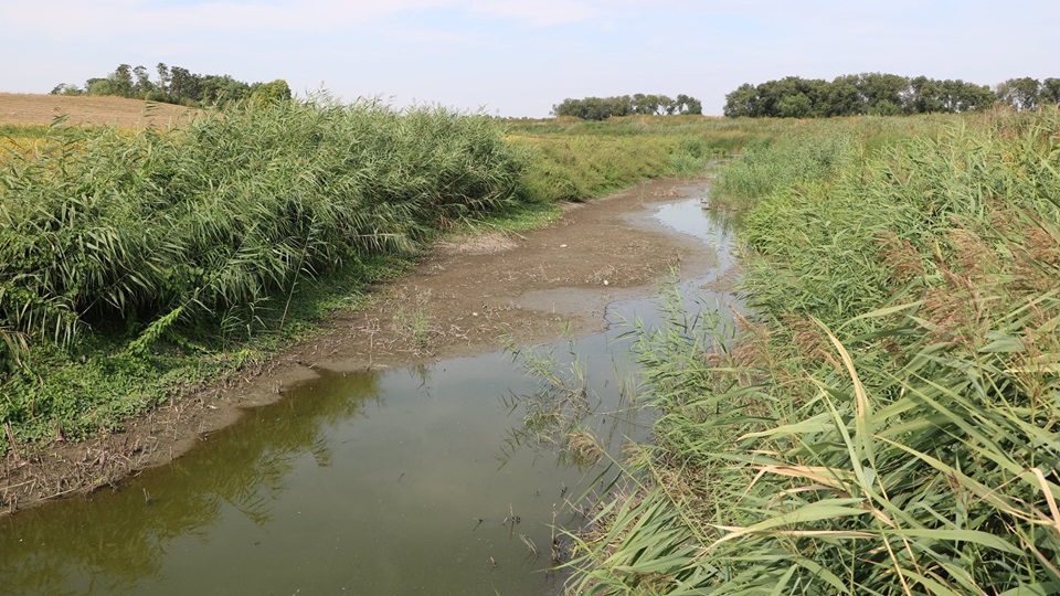 Zbog profita privatnih kompanija reka Krivaja ostala bez vode!