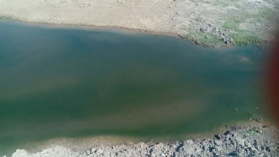 Popustio bedem kod Temerina: Preti ekološka katastrofa Parku prirode „Jegrička“