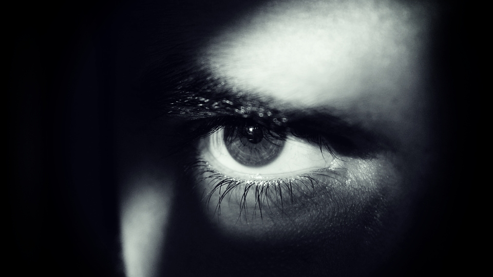 Srpski narko-diler špijunirao za Hrvatsku?