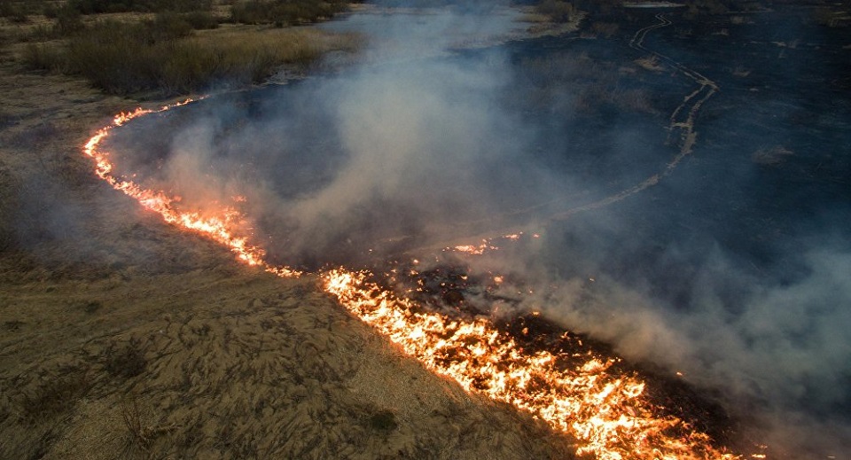 Zelena patrola: Situacija je katastrofalna, u Vojvodini nema ko da gasi požar