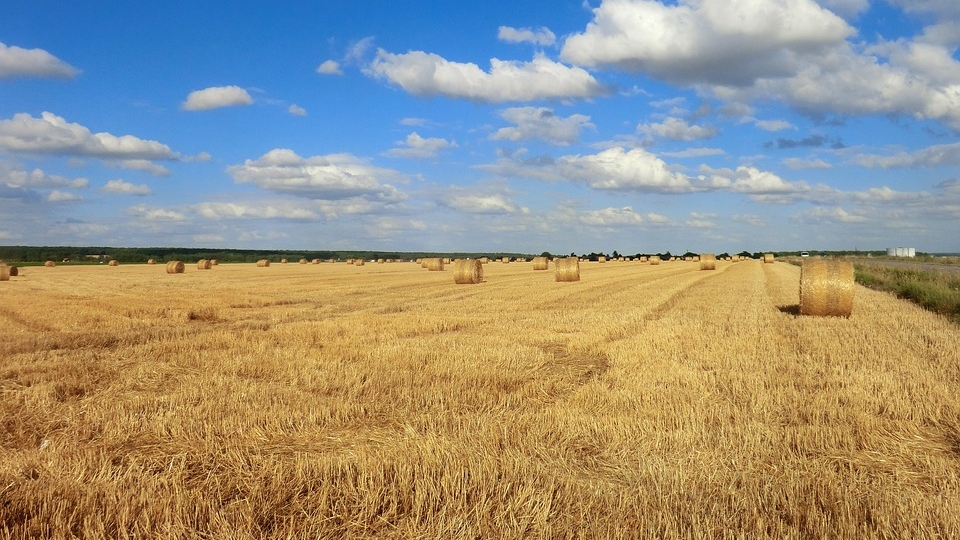 Naša najplodnija žitnica postaje pustinja?
