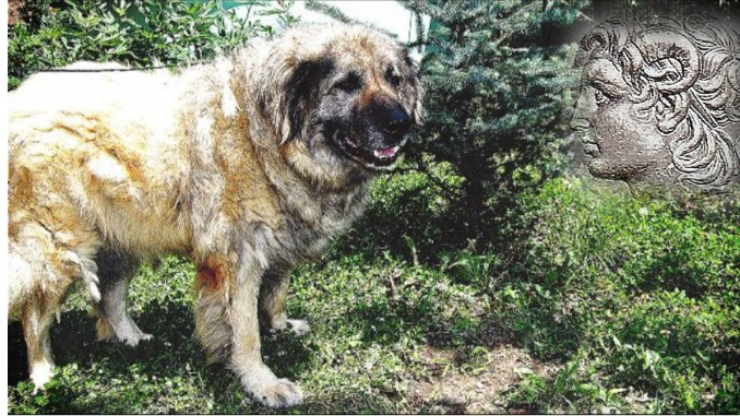 Stigao na Balkan sa legijama Aleksandra Velikog