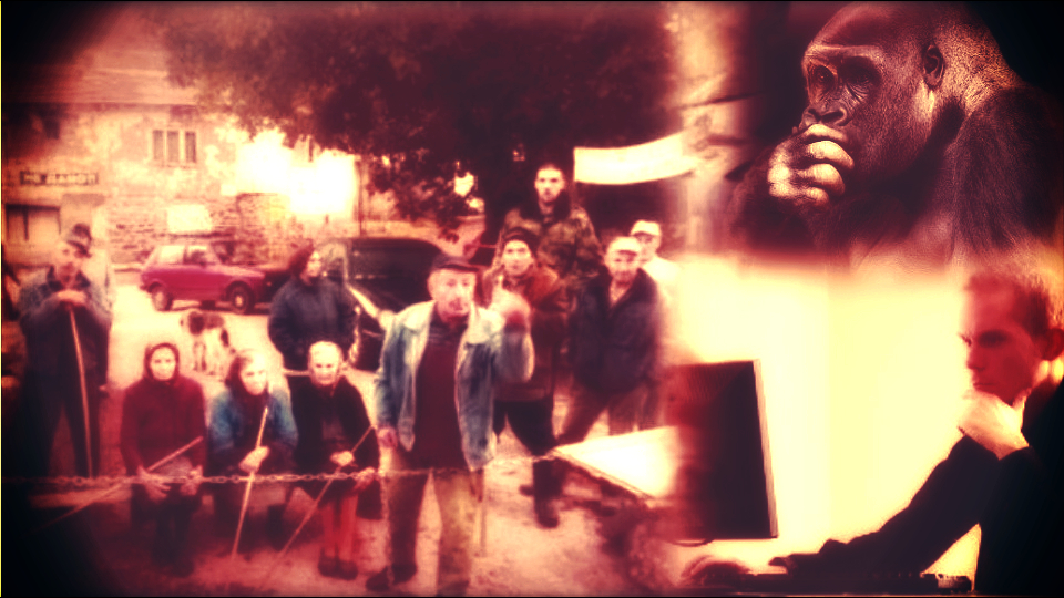 Zašto aktivisti smetaju “stručnjacima” koji ćute zbog konformizma, netalasanja, platice, naučno-istraživačkog autizma, partijske direktive…