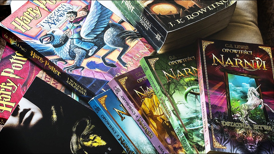 Prvobitno su bile odbijane, a onda su postale kultne knjige