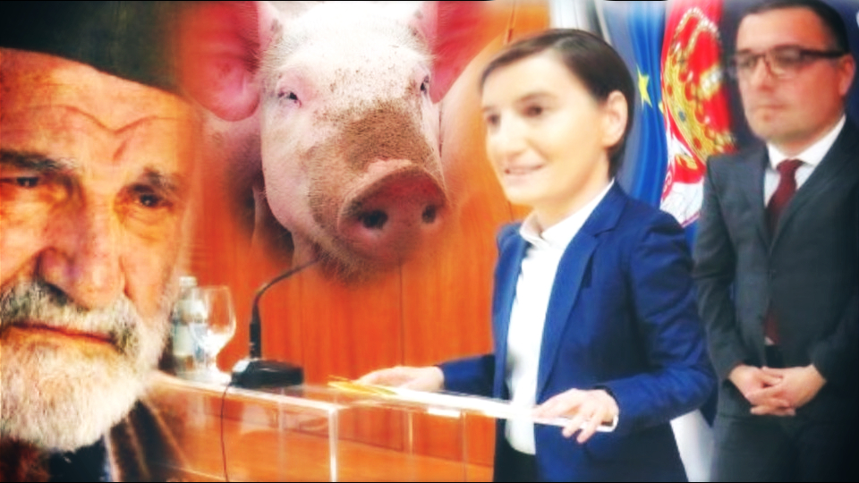 Vlast ne radi u interesu seljaka, već lobija koji se bavi proizvodnjom i trgovinom vakcina protiv svinjske kuge