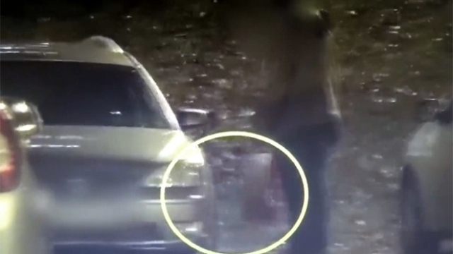 BIA potvrdila: Na snimku se nalazi ruski obaveštajac (VIDEO)