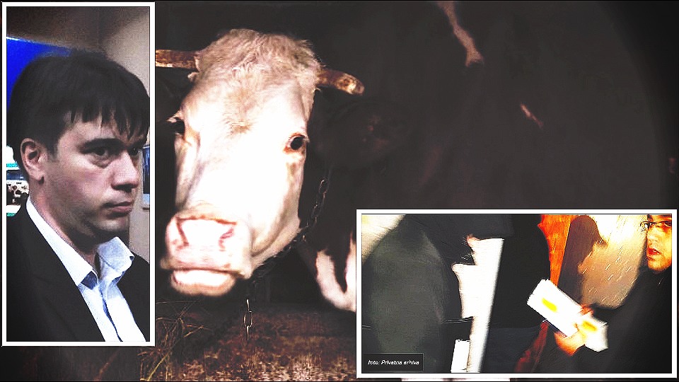 Izvršitelji Miljana Trajkovića (godišnje zarađuje MILION evra), upadaju po mraku sa kapuljačama na glavi, prete detetu biber sprejom i maltretiraju domaće životinje