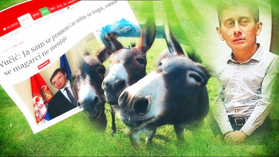 U Srbiji je 2012. živelo svega 1618 magaraca, a onda su srećom došli na vlast “naprednjaci”…