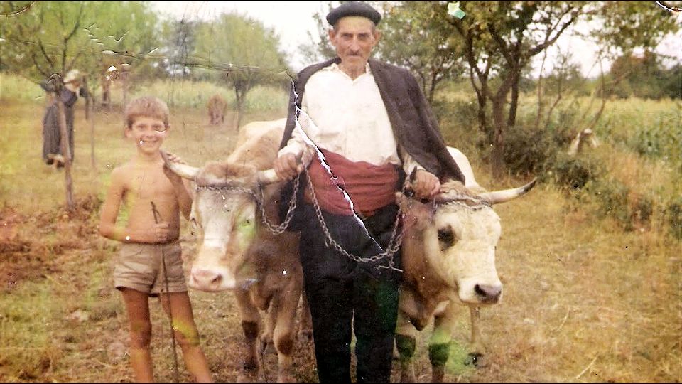 Da li znate šta su MUTAVDŽIJA, KLONFER ili RABADŽIJA?