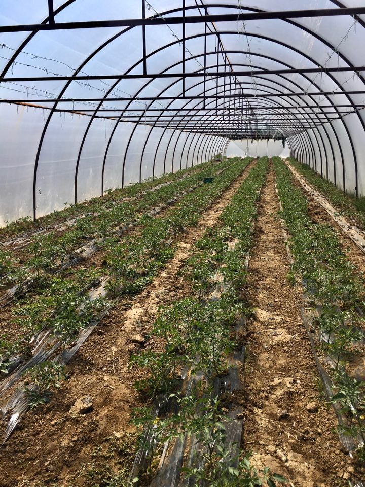 Srpsko selo je stub razvoja srpske privrede!